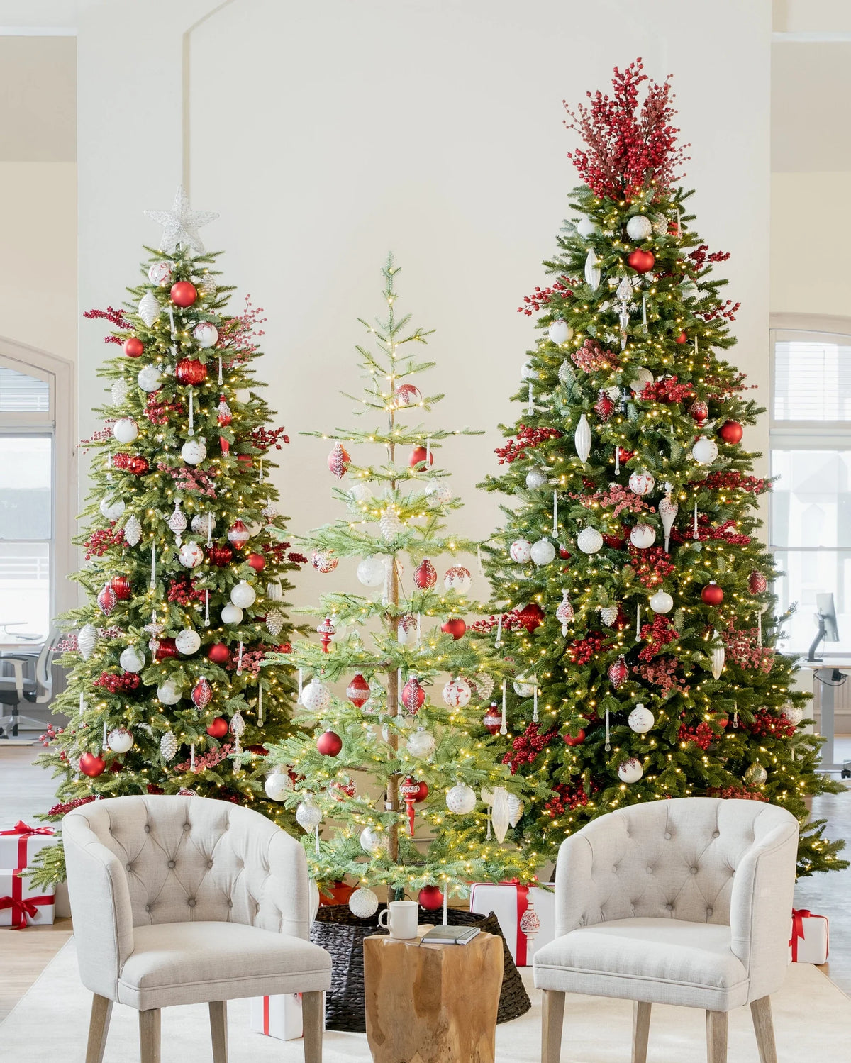 Árvore de Natal Abeto Fraser Imperial