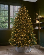 Árvore de Natal Abeto Fraser Imperial