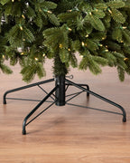 Árvore de Natal Abeto Fraser Imperial