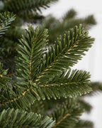 Árvore de Natal Abeto Fraser Imperial