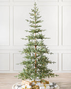 Árvore de Natal Abeto Balsâmico Alpino