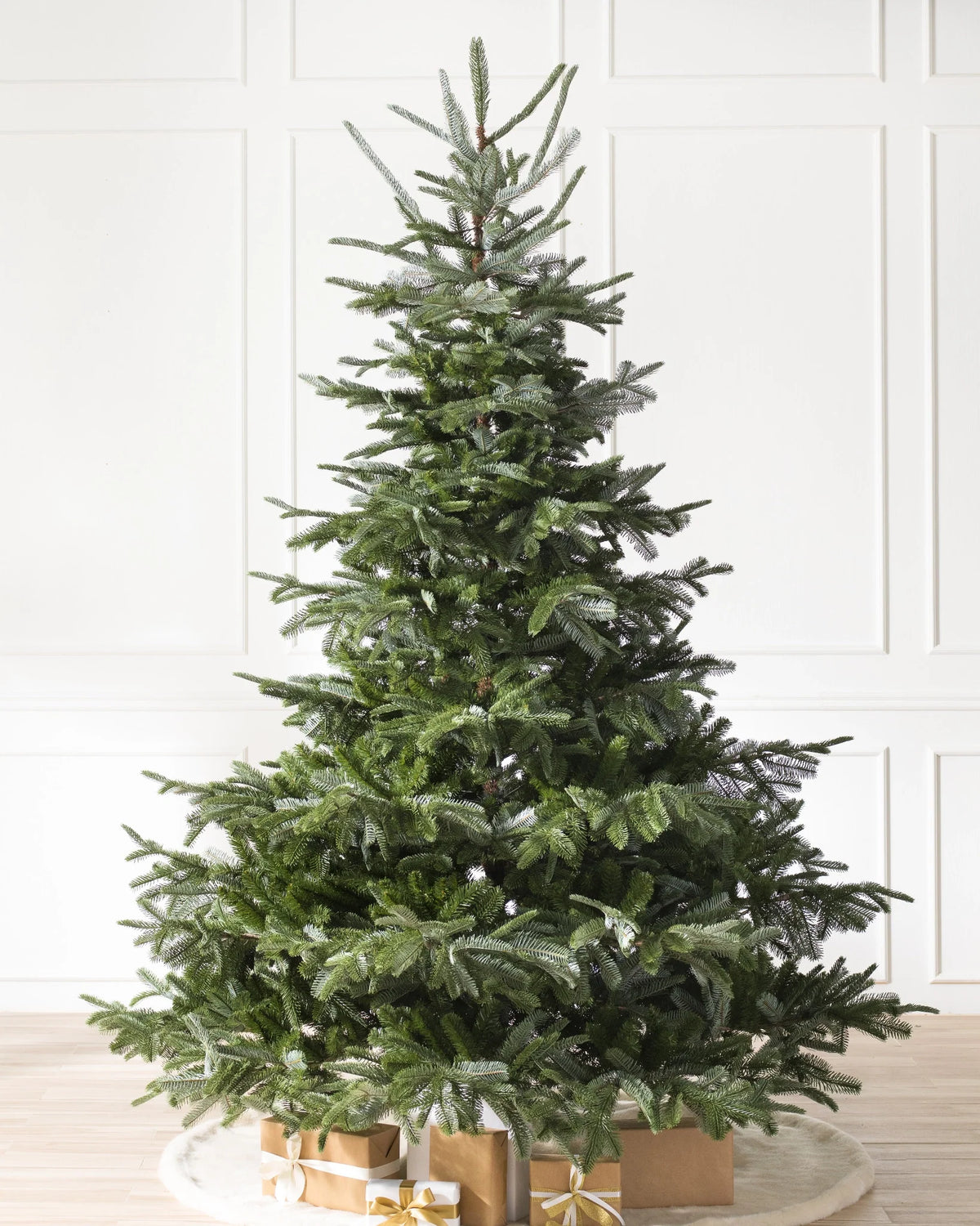 Árvore de Natal Abeto Europeu