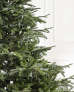 Árvore de Natal Abeto Europeu