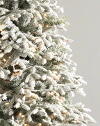 Árvore de Natal Abeto Fraser Nevado