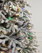 Árvore de Natal Abeto Fraser Nevado