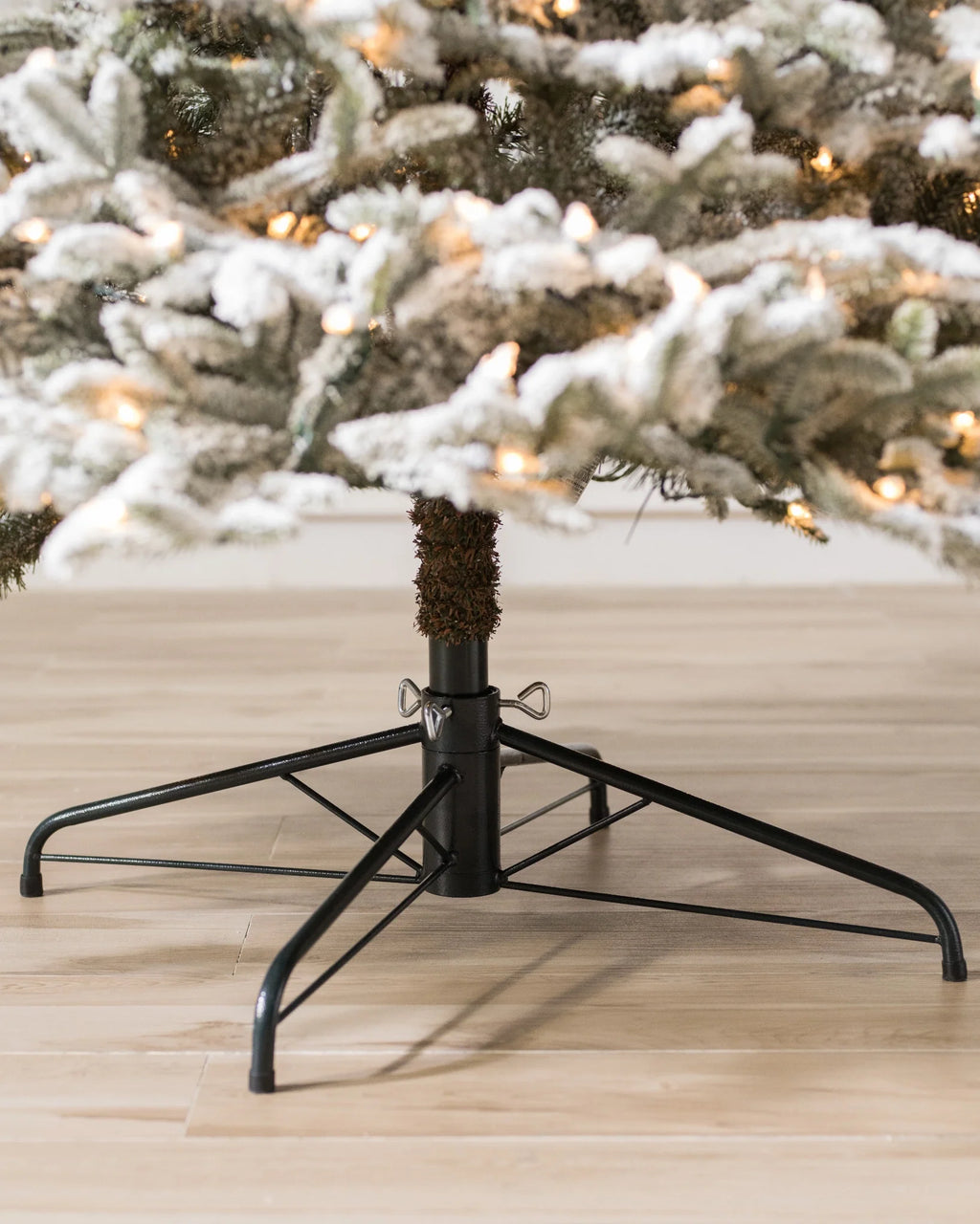 Árvore de Natal Abeto Fraser Nevado