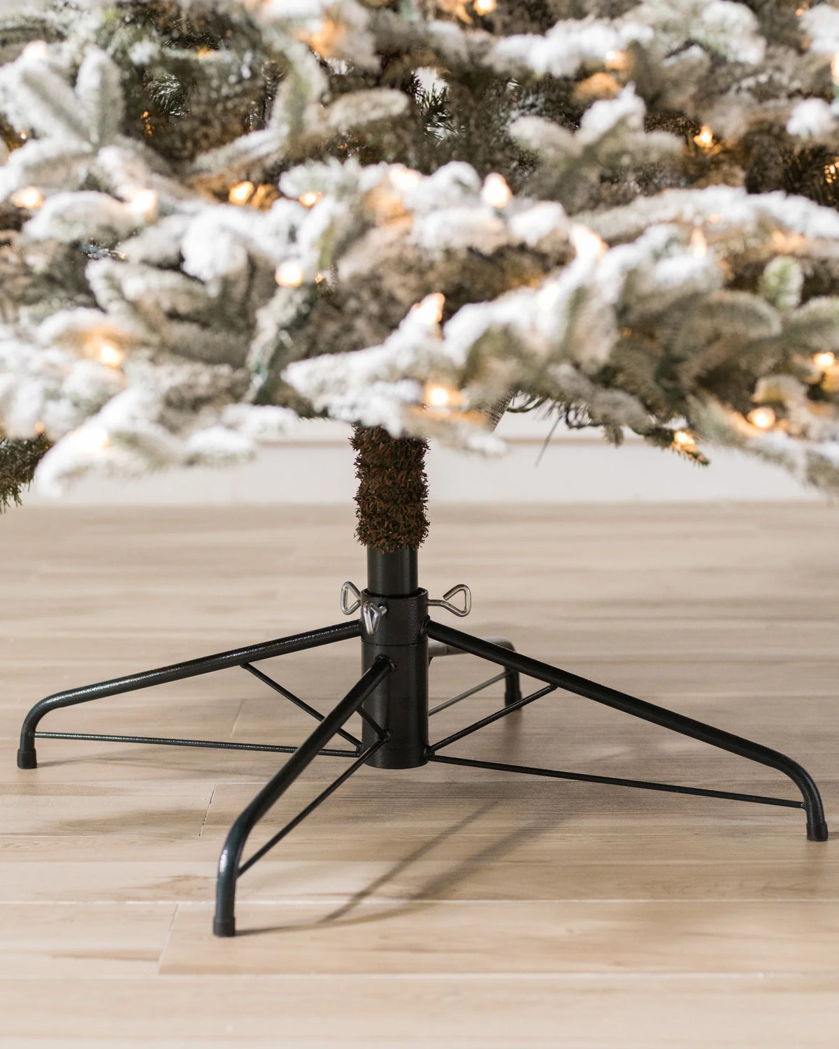 Árvore de Natal Abeto Fraser Nevado