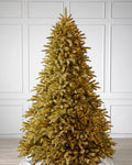 Árvore de Natal Abeto Golden Aspen Estate