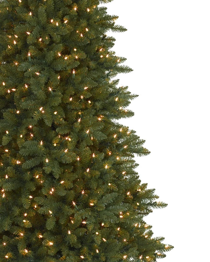 Árvore de Natal Abeto Montanha Berkshire