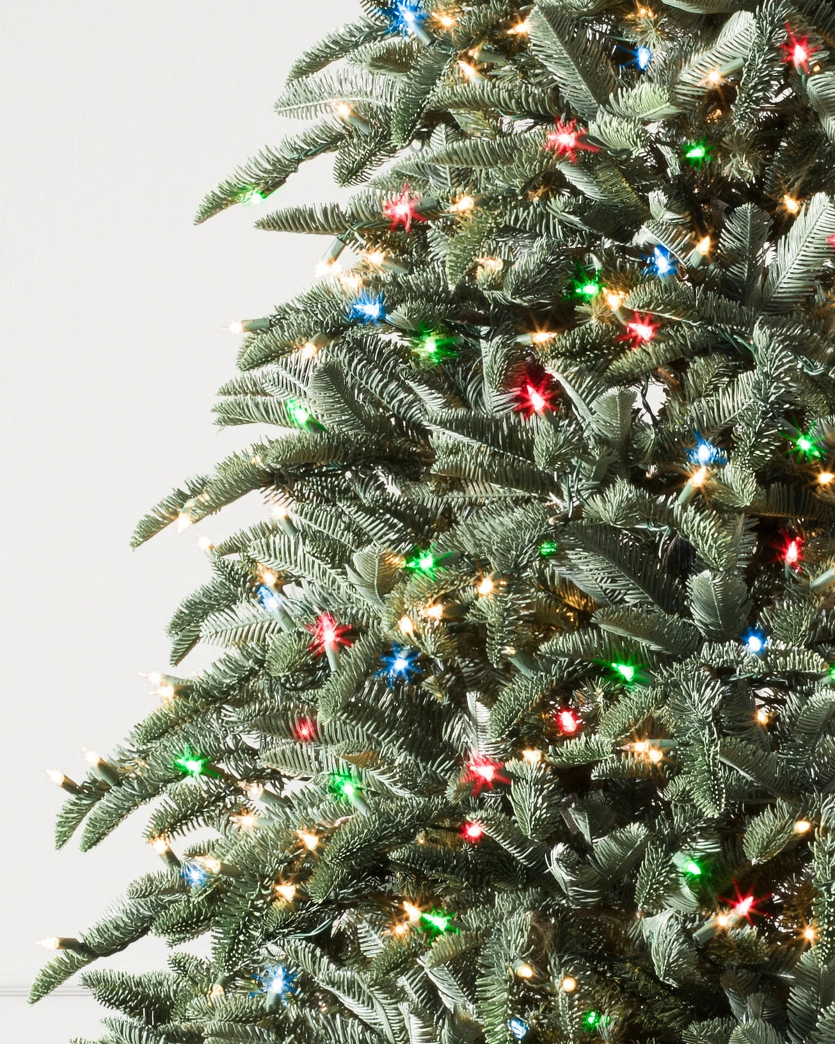 Árvore de Natal Abeto Nobre