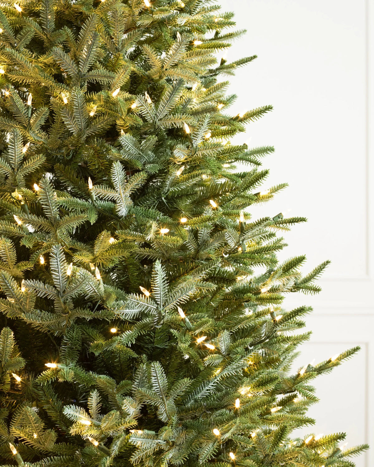 Árvore de Natal Abeto Prateado Europeu