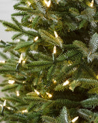 Árvore de Natal Abeto Prateado Europeu