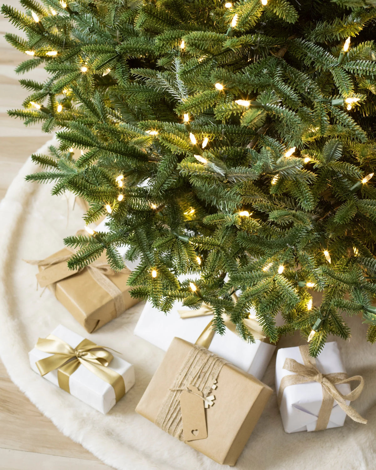 Árvore de Natal Abeto Prateado Europeu