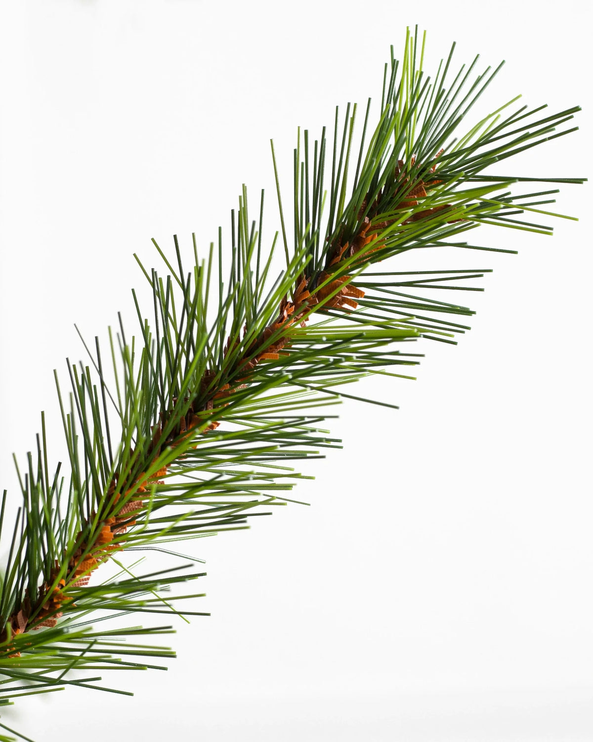 Árvore de Natal Grande Abeto Norueguês