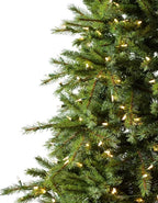 Árvore de Natal Grande Abeto Norueguês
