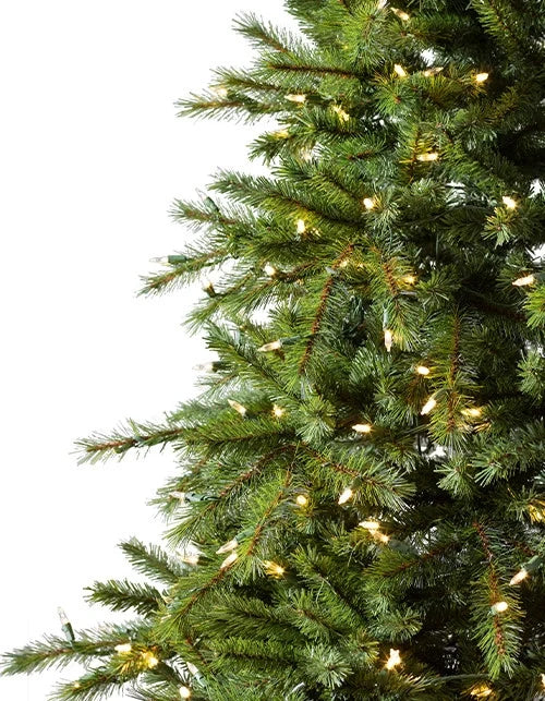 Árvore de Natal Grande Abeto Norueguês