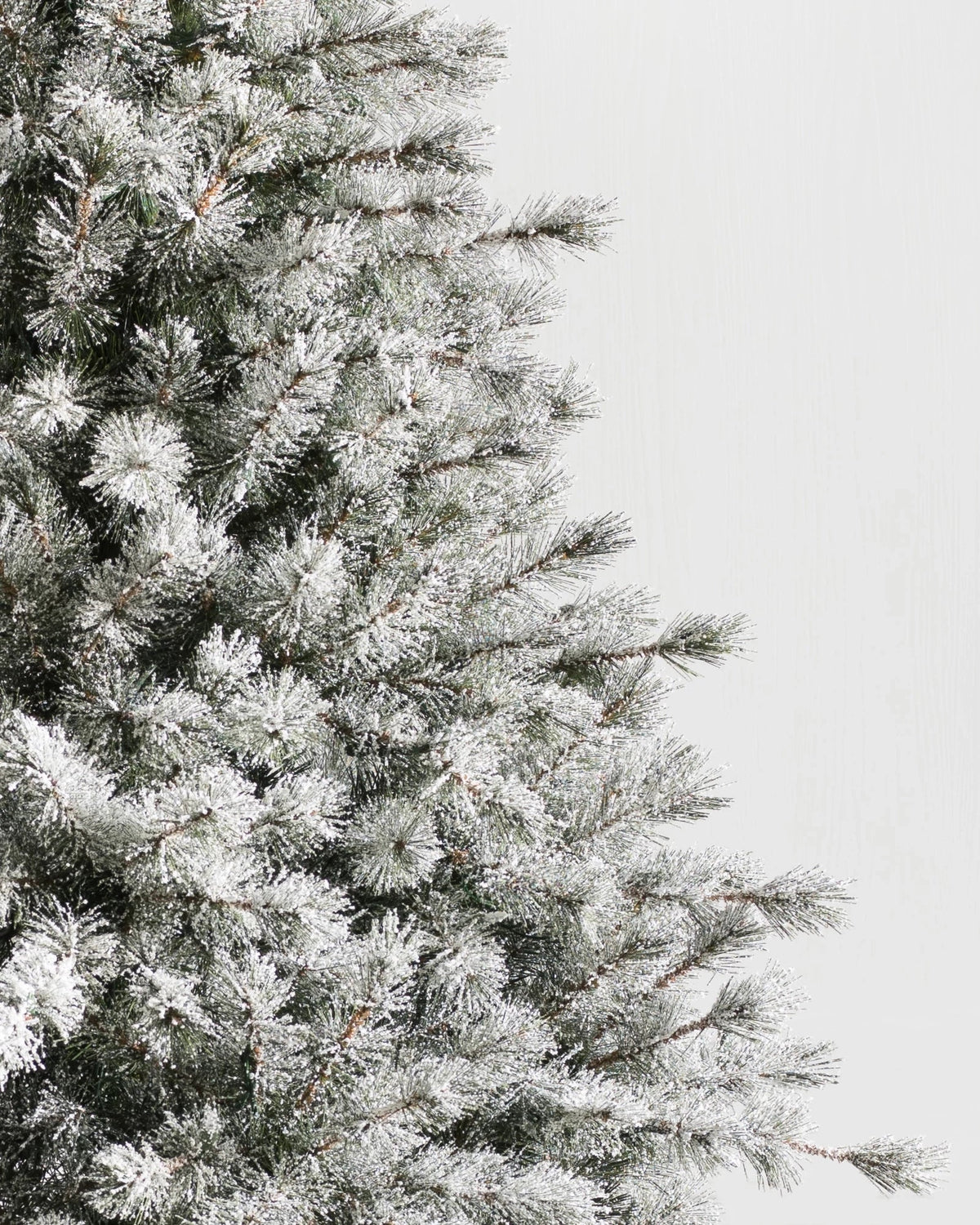 Árvore de Natal Pinheiro Açucarado Nevado