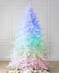 Árvore de Natal Pinheiro Branco Denali