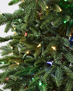 Árvore de Natal Pinheiro Lake Tahoe