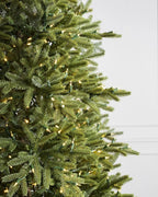 Árvore de Natal Pinheiro Norueguês
