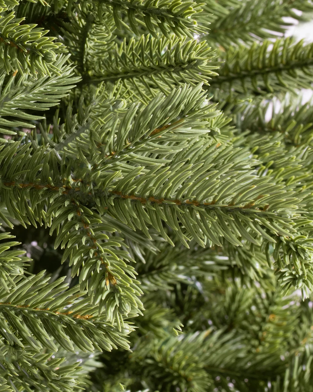 Árvore de Natal Pinheiro Norueguês