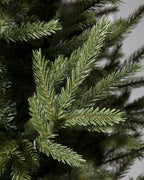 Árvore de Natal Pinheiro Norueguês do Norte