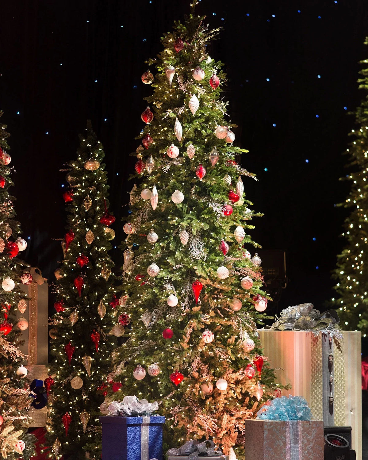 Árvore de Natal Pinheiro Bosque Slim
