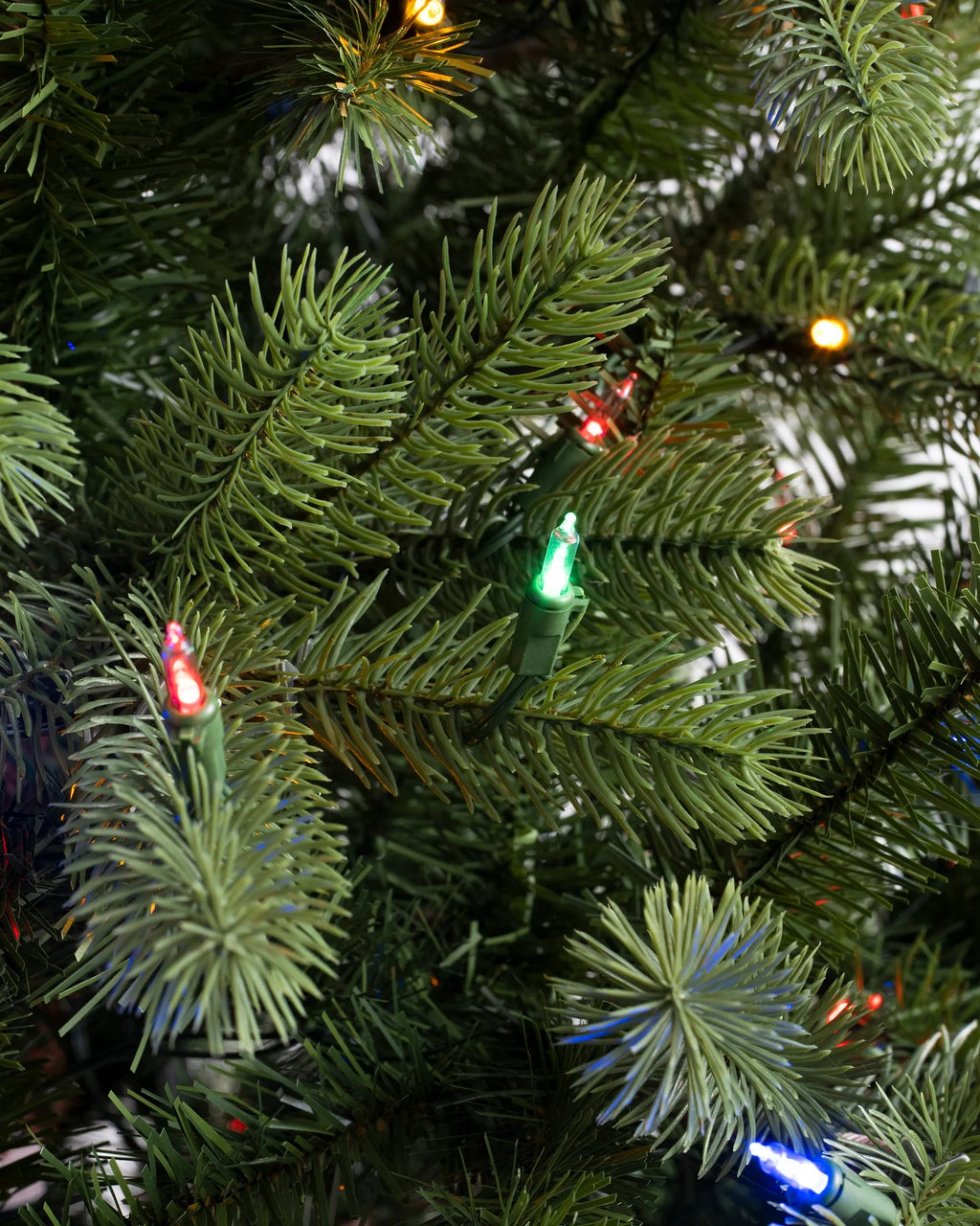 Árvore de Natal Pinheiro Woodland