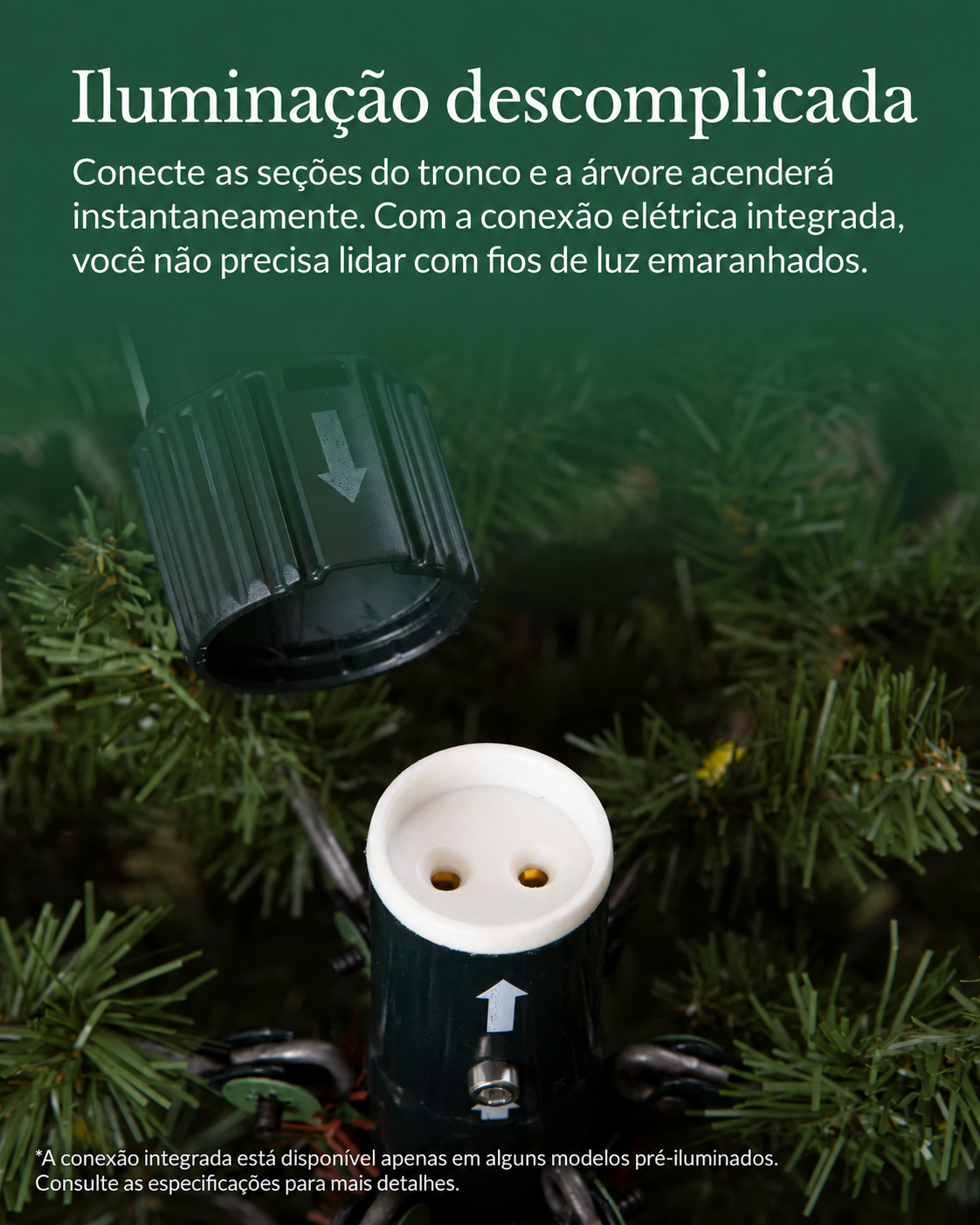 Árvore de Natal Abeto Europeu